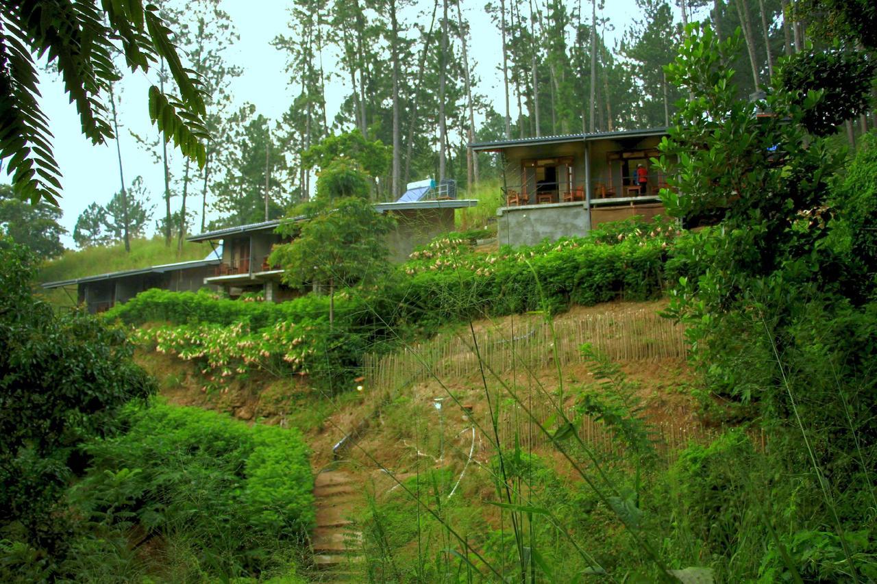 Rowinrich Cottages Елла Екстер'єр фото